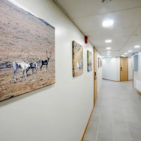 Toivola Hostel